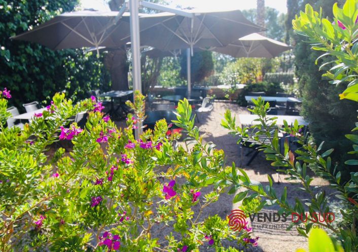 vente Maison de maître Agde