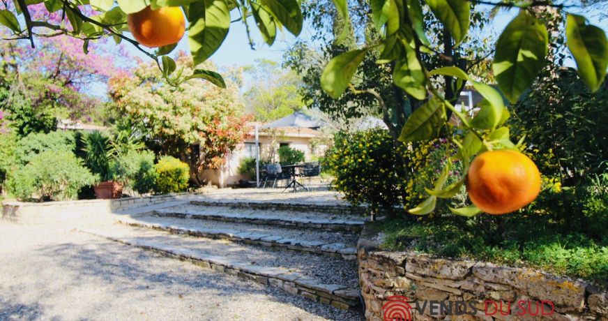 vente Maison de maître Agde