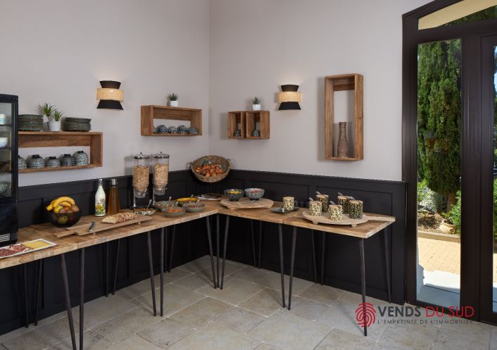 vente Maison de maître Agde