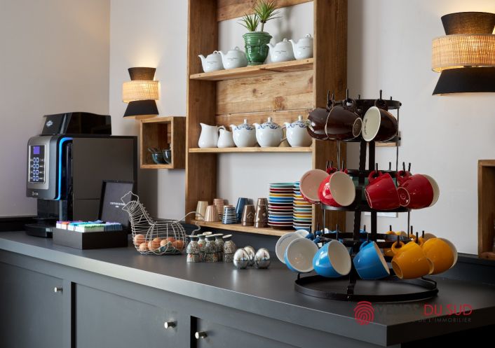 vente Maison de maître Agde