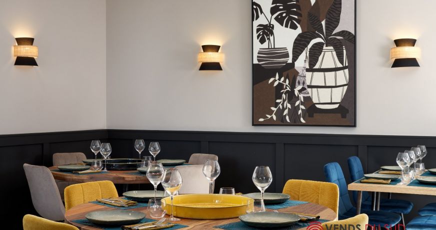 vente Maison de maître Agde