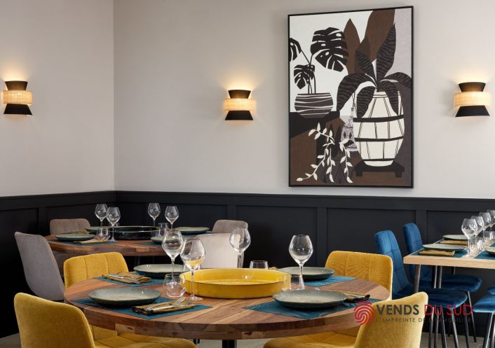vente Maison de maître Agde