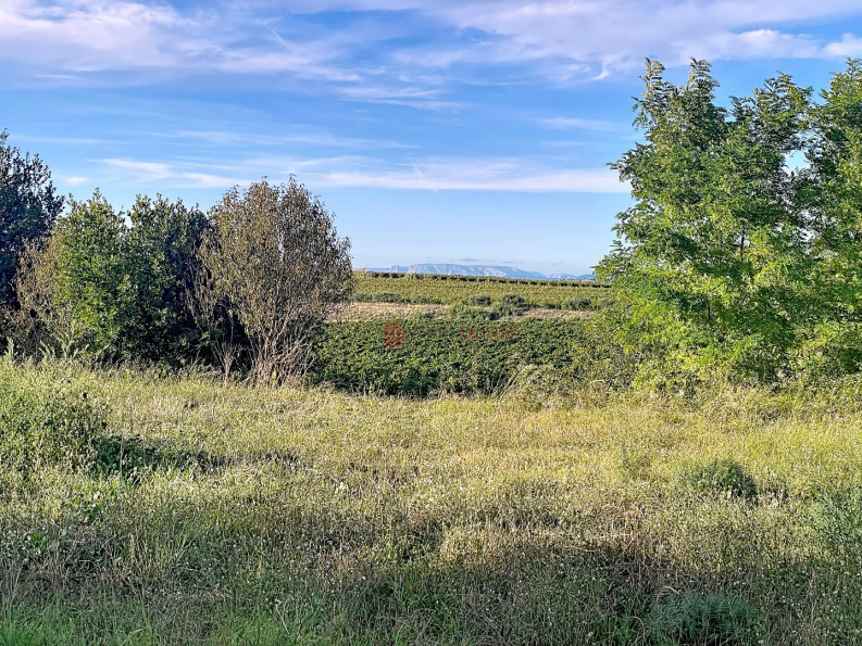 vente Terrain constructible Montels - Photo 1