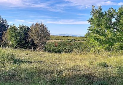 vente Terrain constructible Montels