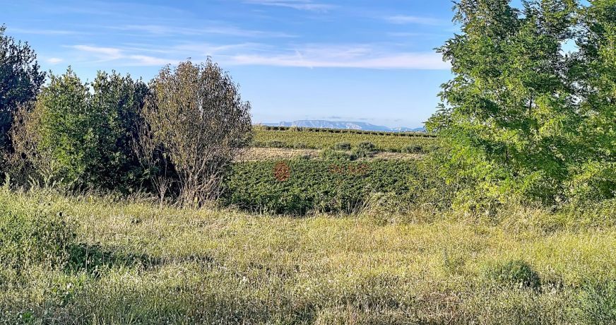 vente Terrain constructible Montels