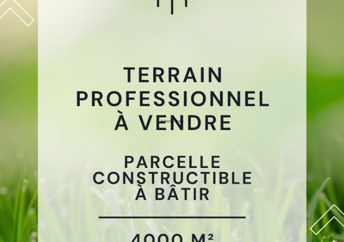 vente Terrain commercial Saint Chinian