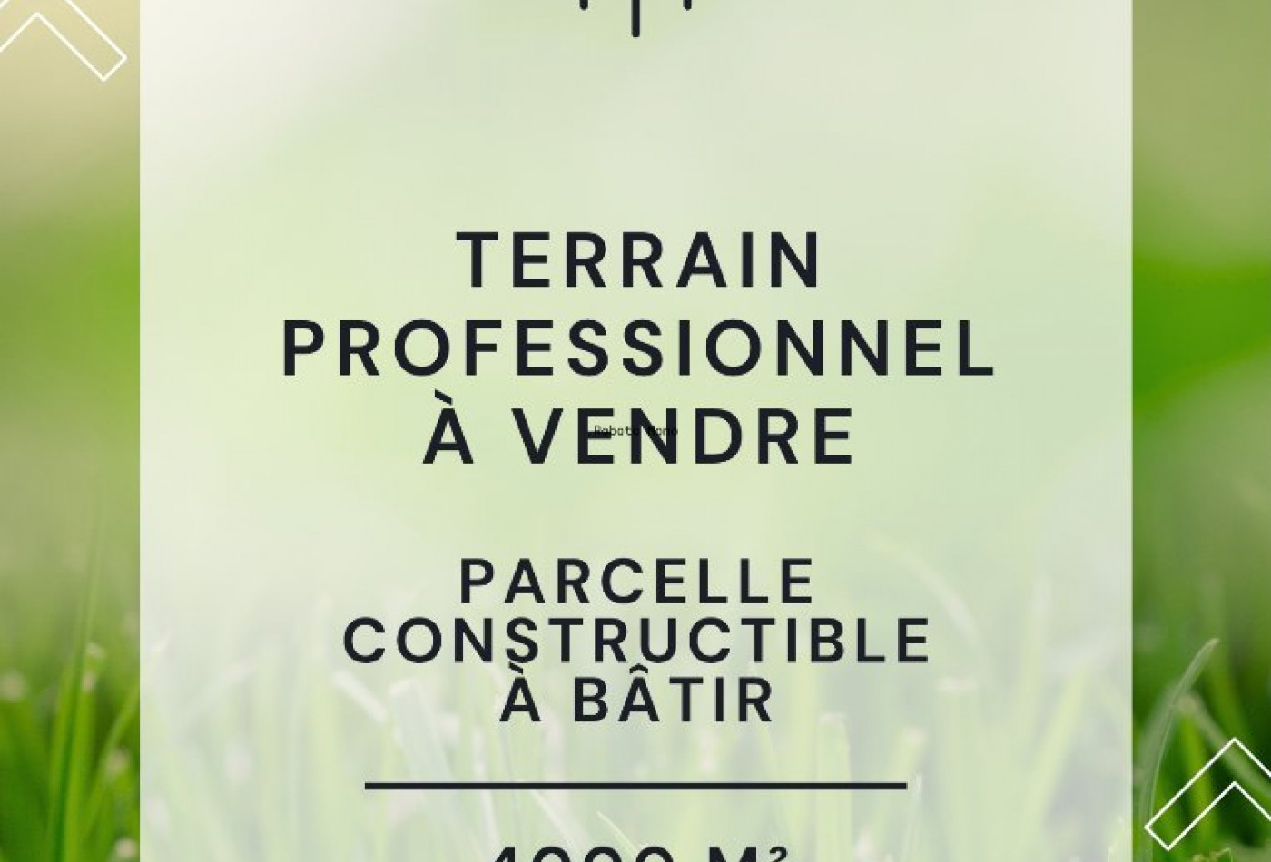 vente Terrain commercial Saint Chinian - Photo 1