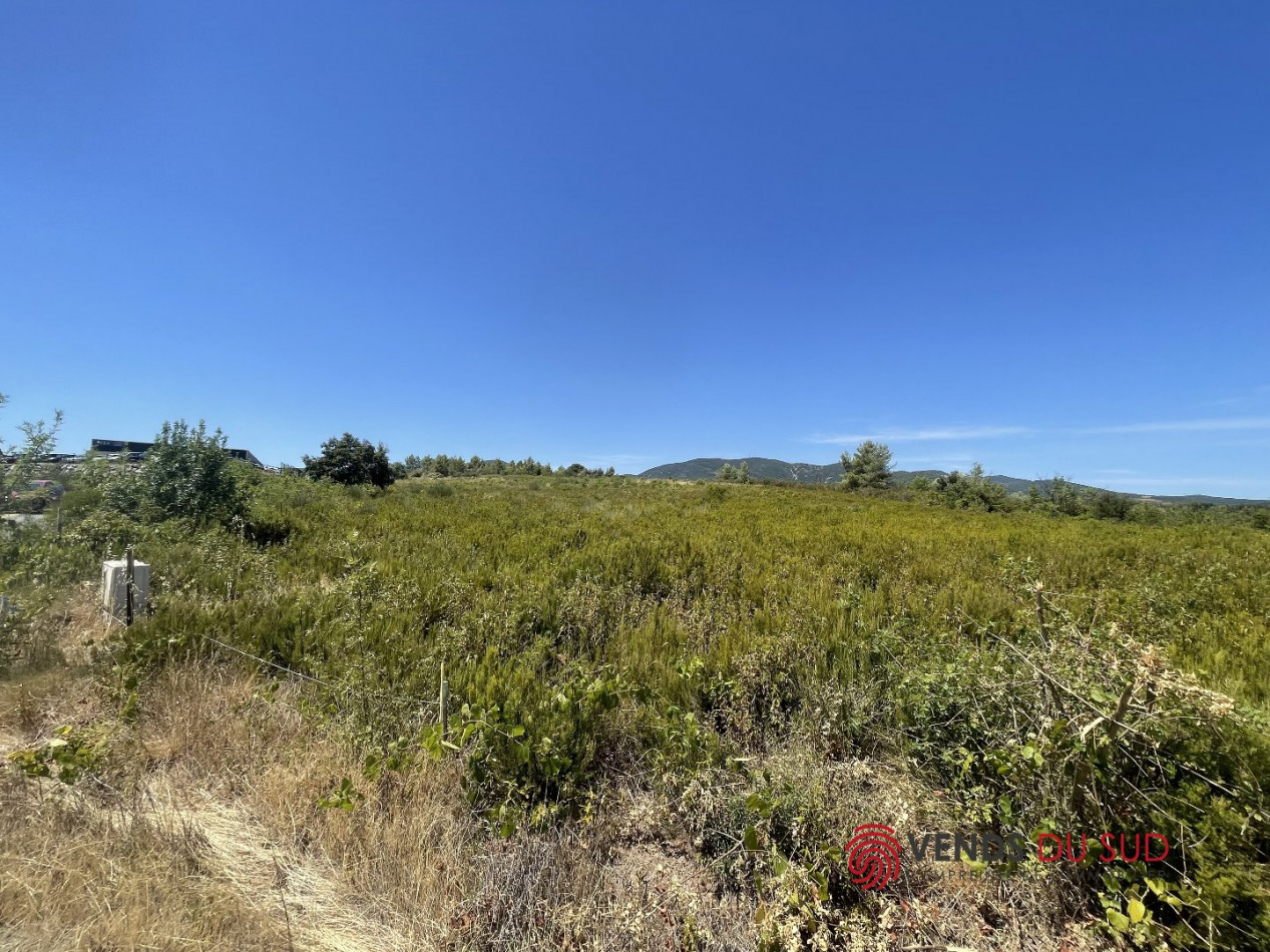 vente Terrain commercial Saint Chinian - Photo 2