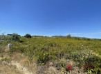 vente Terrain commercial Saint Chinian
