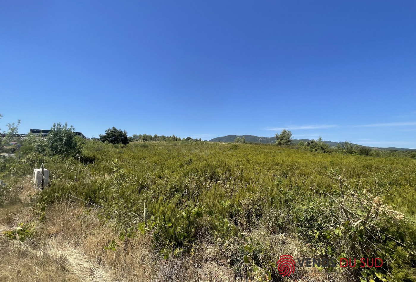 vente Terrain commercial Saint Chinian - Photo 2