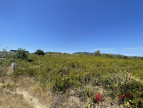 vente Terrain commercial Saint Chinian