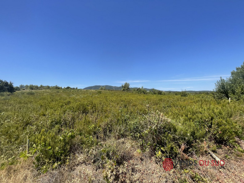 vente Terrain commercial Saint Chinian - Photo 3