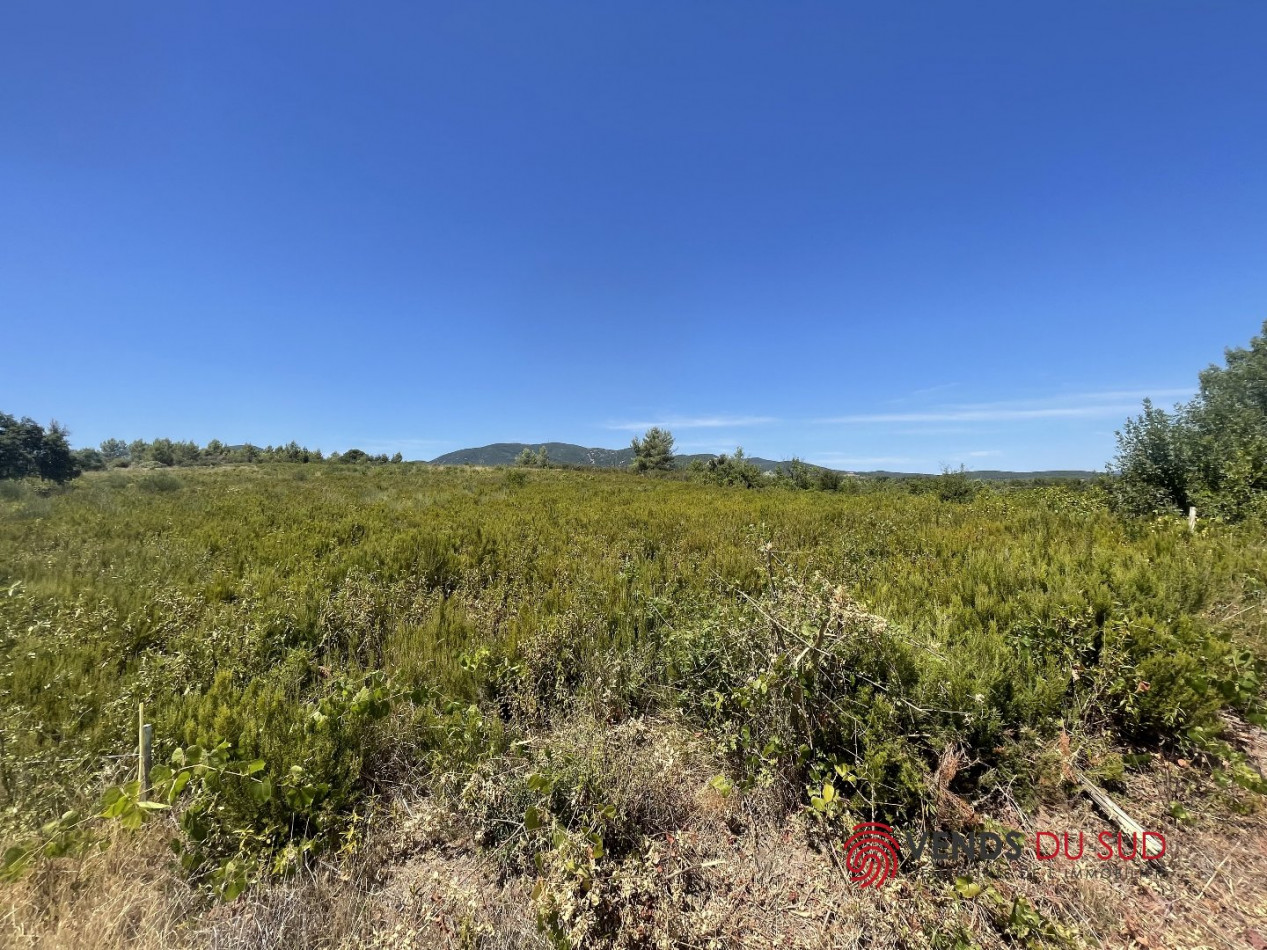 vente Terrain commercial Saint Chinian - Photo 3
