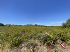 vente Terrain commercial Saint Chinian