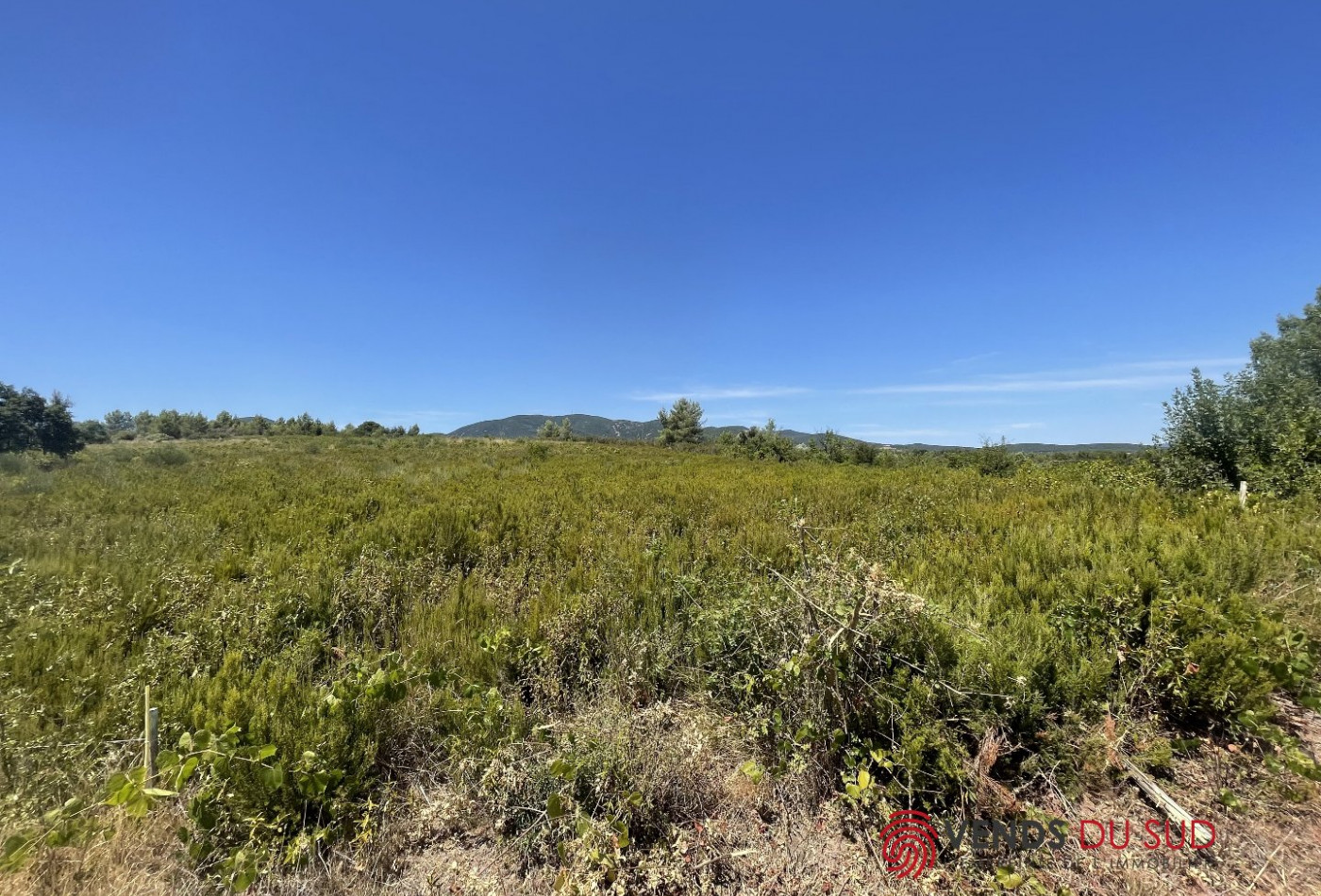 vente Terrain commercial Saint Chinian - Photo 3