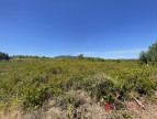 vente Terrain commercial Saint Chinian