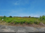 à vendre Terrain commercial Saint Chinian