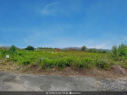 vente Terrain commercial Saint Chinian