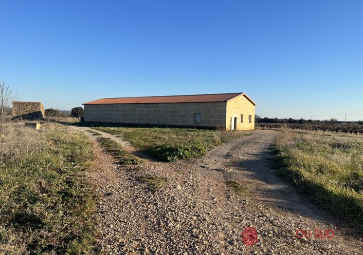 vente Propriété viticole Ceyras