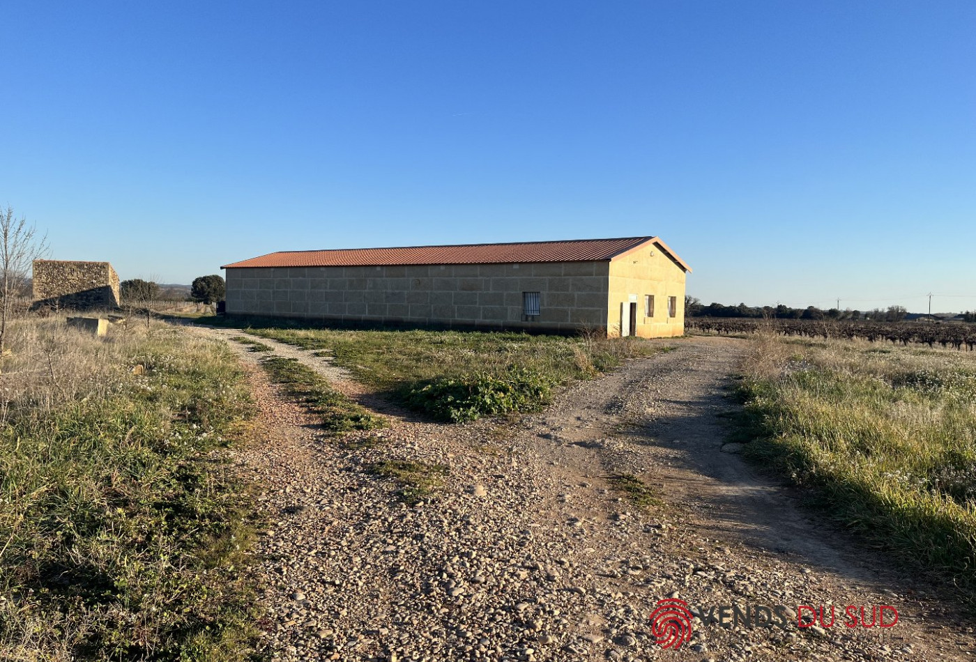 à vendre Propriété viticole Ceyras - Photo 2
