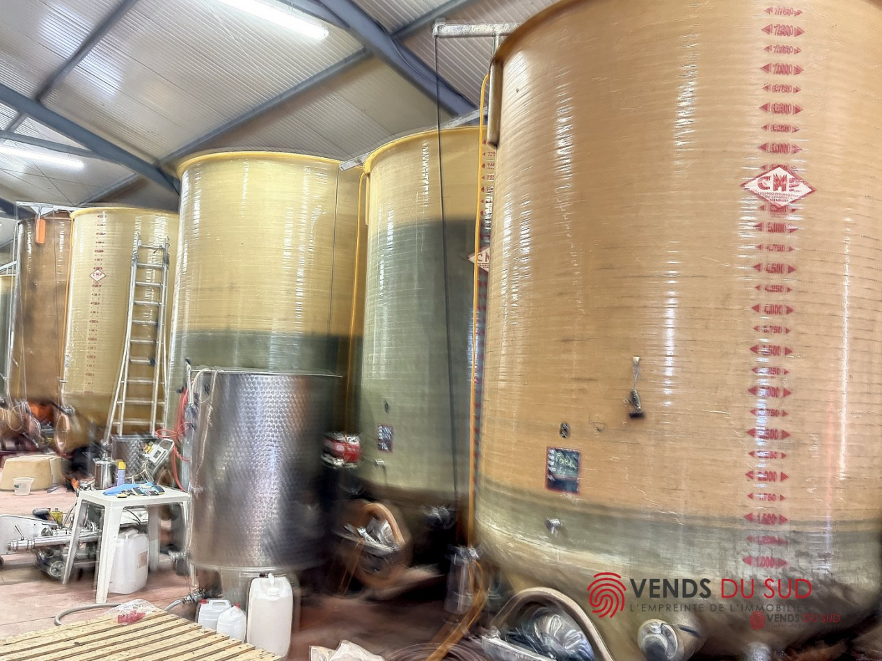 vente Propriété viticole Ceyras - Photo 5