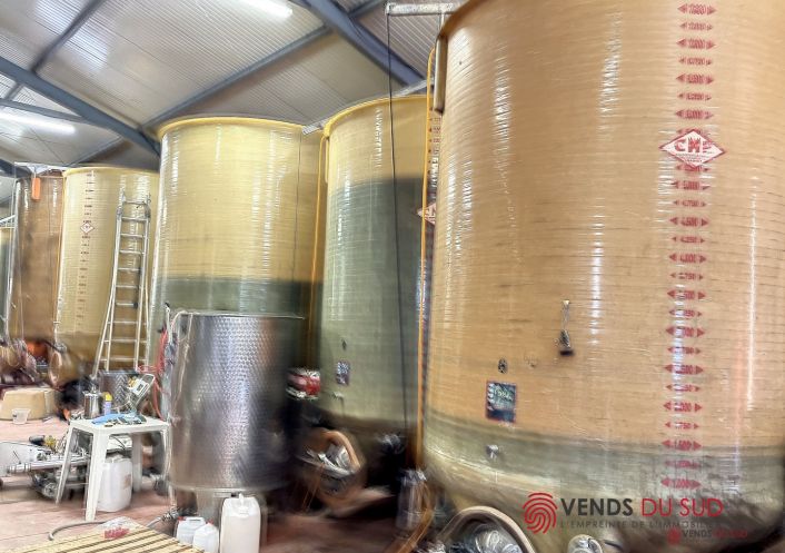 vente Propriété viticole Ceyras