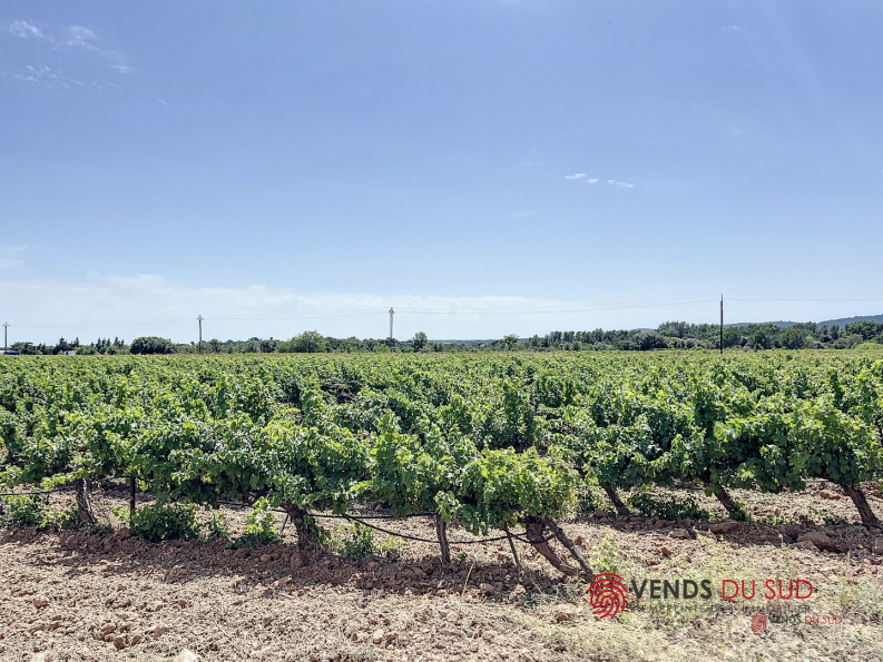 à vendre Propriété viticole Ceyras - Photo 6