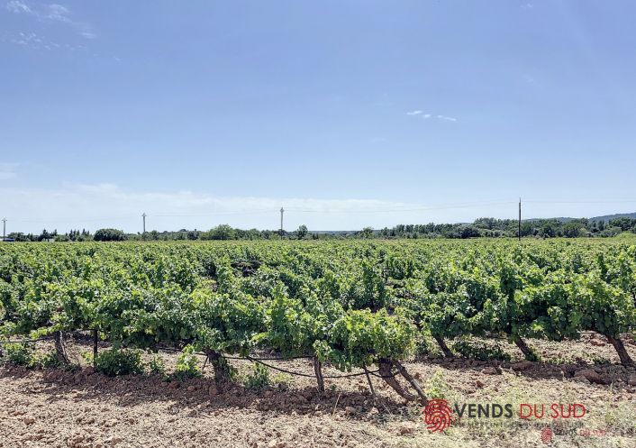 vente Propriété viticole Ceyras