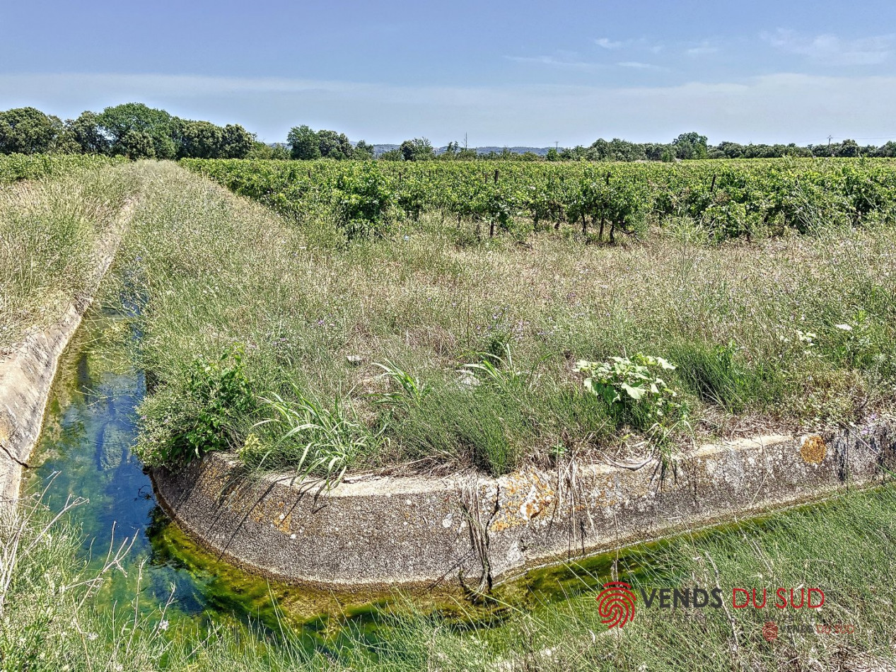 vente Propriété viticole Ceyras - Photo 7
