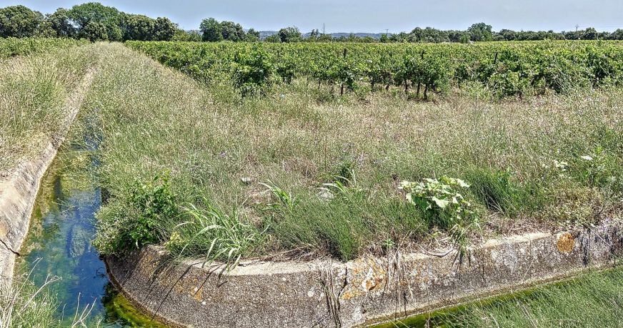 vente Propriété viticole Ceyras