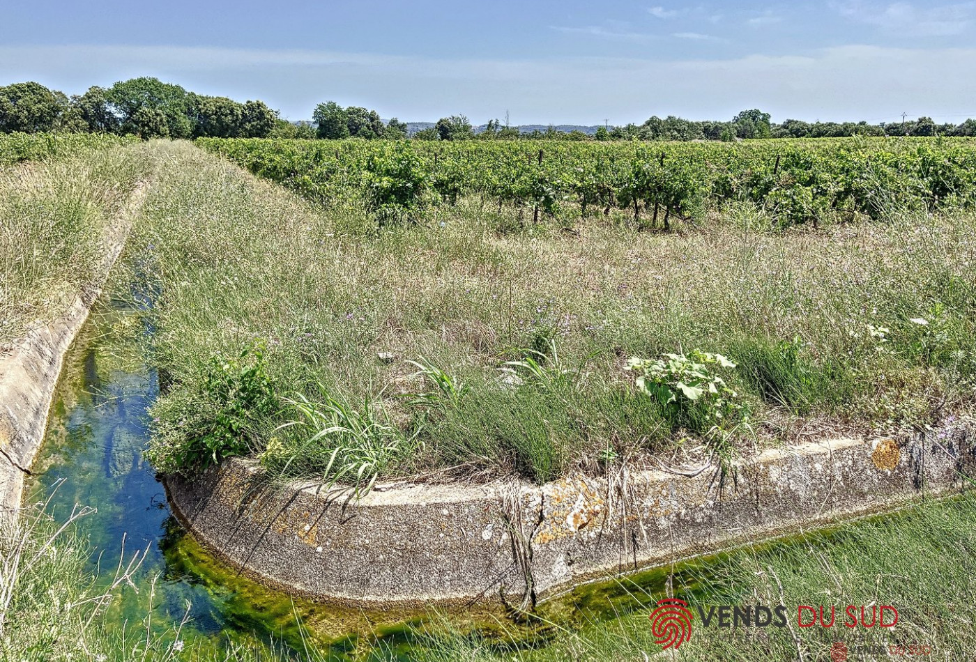 à vendre Propriété viticole Ceyras - Photo 7