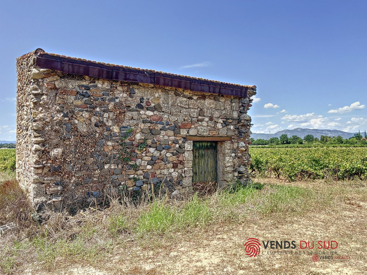 vente Propriété viticole Ceyras - Photo 8