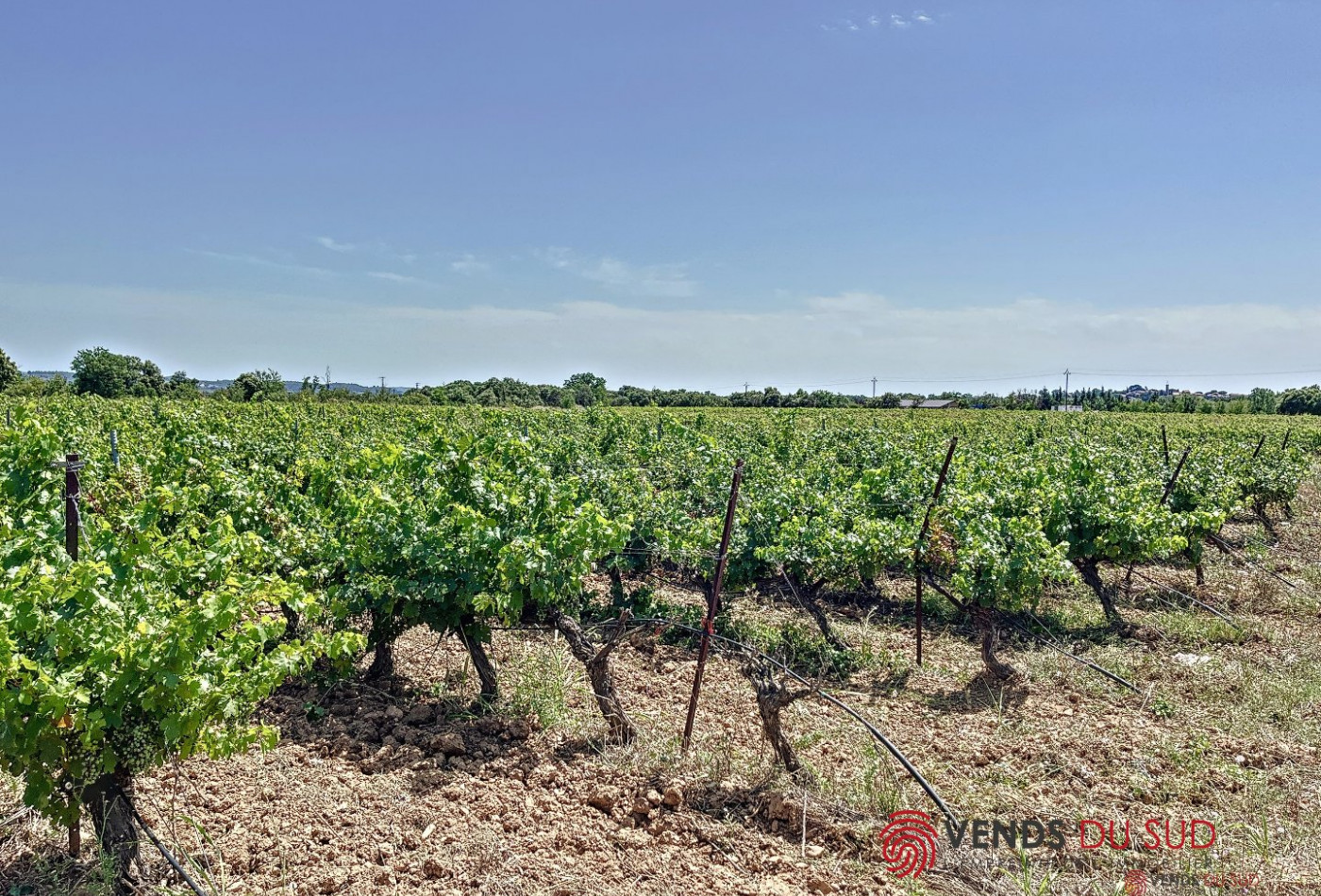 à vendre Propriété viticole Ceyras - Photo 3