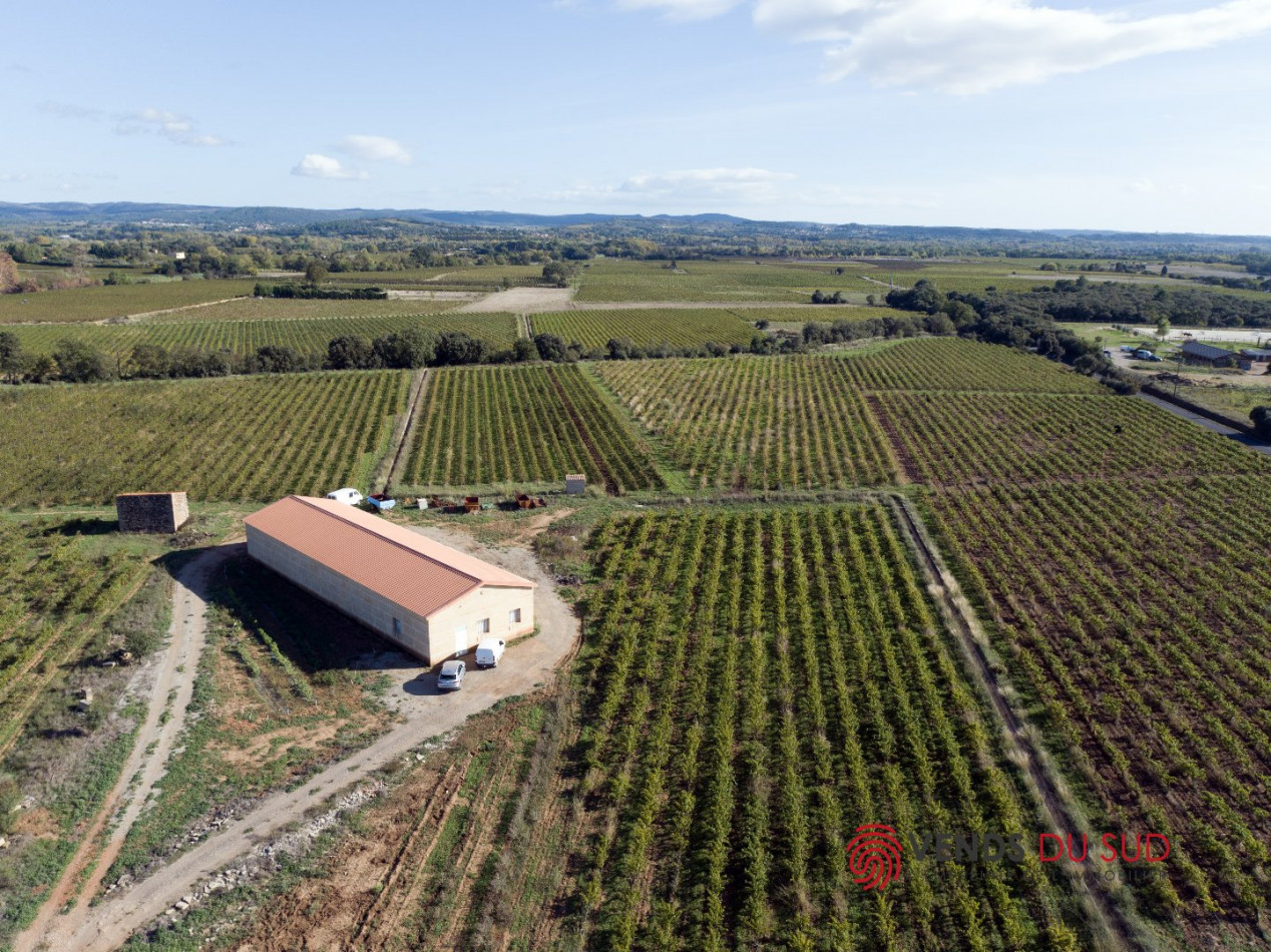 vente Propriété viticole Ceyras - Photo 9