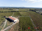 à vendre Propriété viticole Ceyras