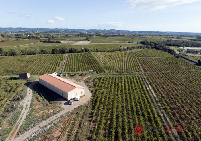 vente Propriété viticole Ceyras