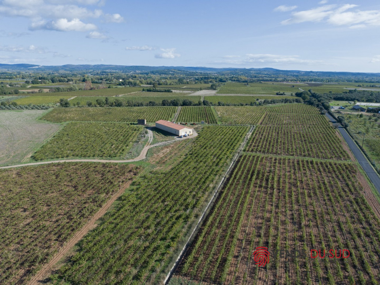 vente Propriété viticole Ceyras - Photo 1