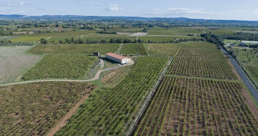 vente Propriété viticole Ceyras