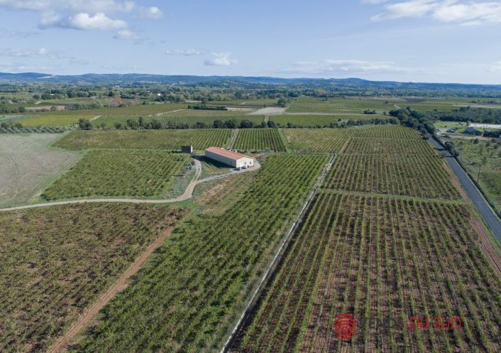 vente Propriété viticole Ceyras