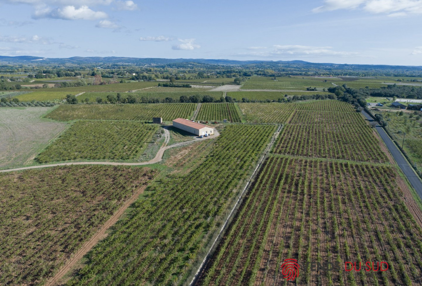 à vendre Propriété viticole Ceyras - Photo 1
