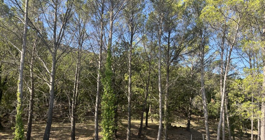 vente Maison de campagne Liausson