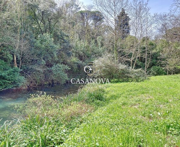 vente Clermont L'herault