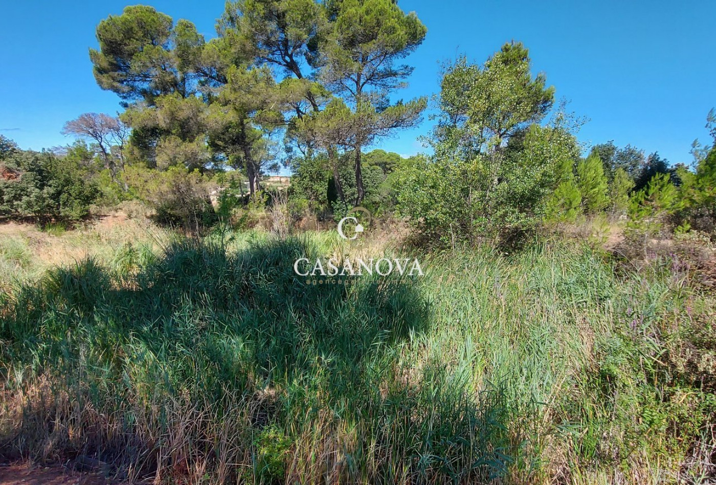 sale Château Narbonne - Photo 10