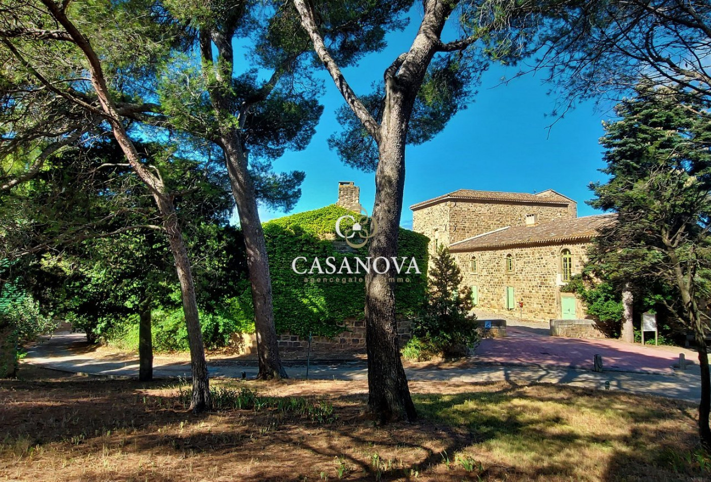 sale Château Narbonne - Photo 1