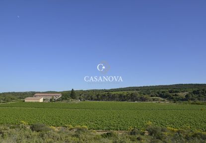 vente Propriété viticole Montpellier