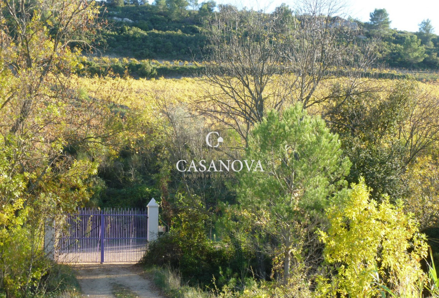 vente Propriété viticole Saint Chinian - Photo 6