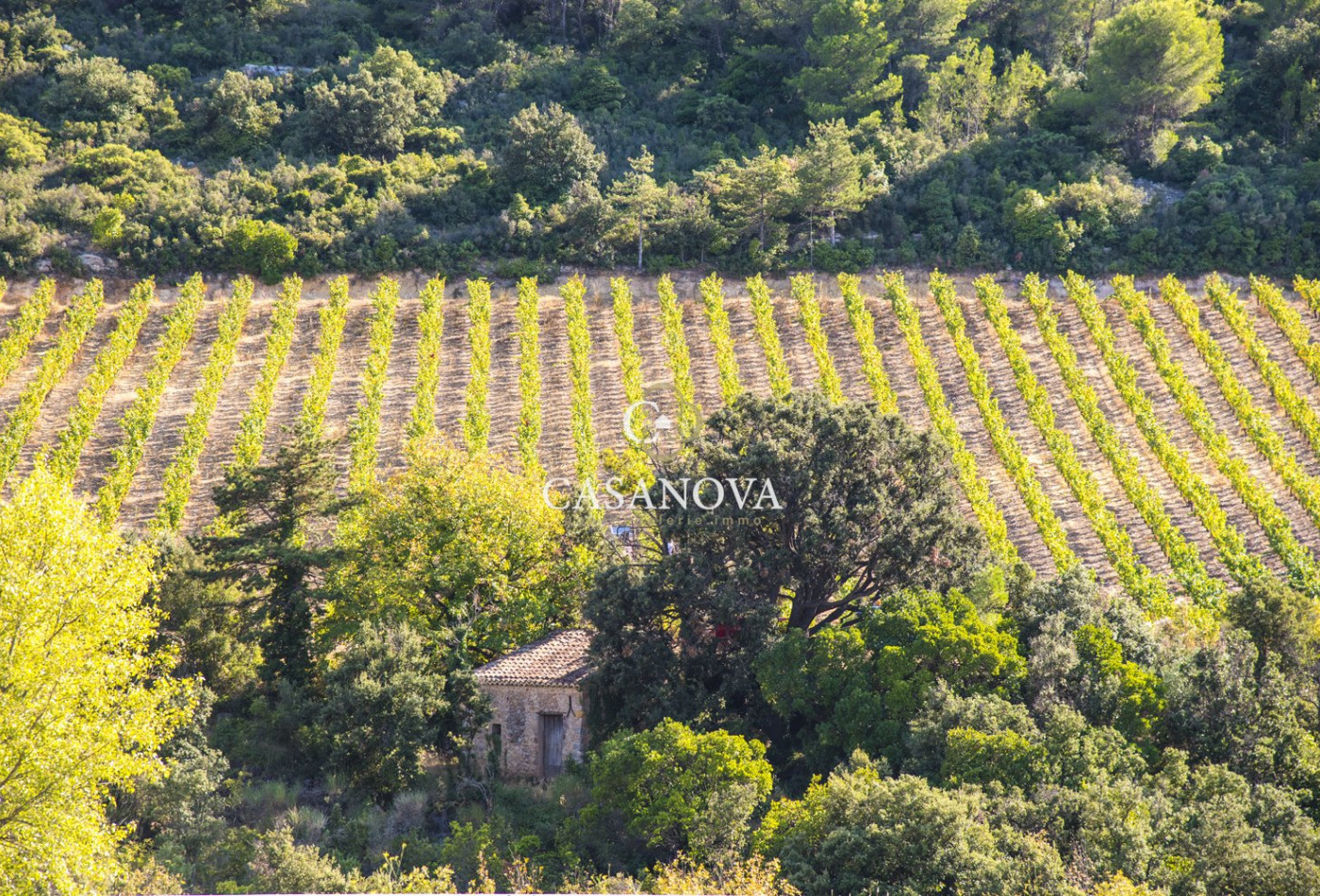 vente Propriété viticole Saint Chinian - Photo 1