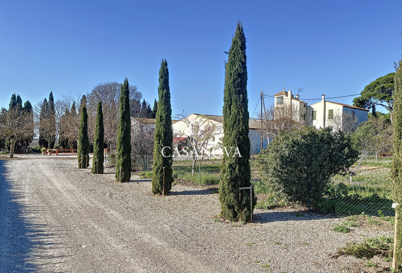 vente Propriété Montpellier - Photo 3