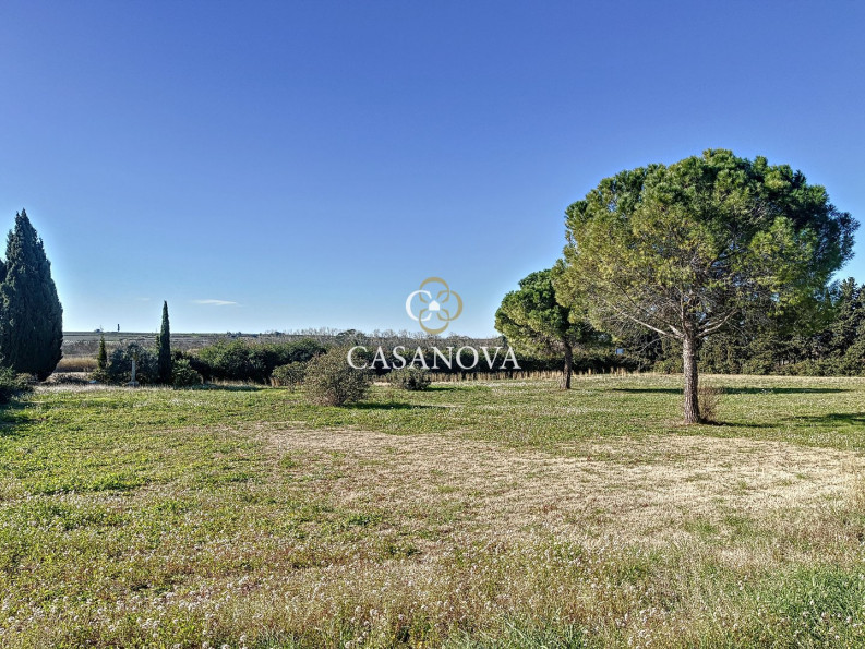 vente Propriété Montpellier - Photo 5