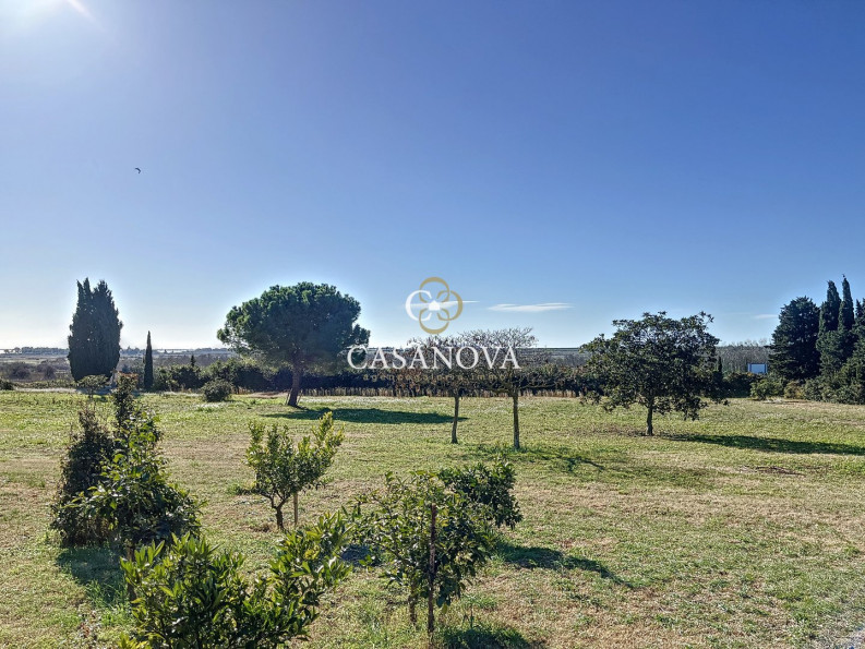 vente Propriété Montpellier - Photo 10